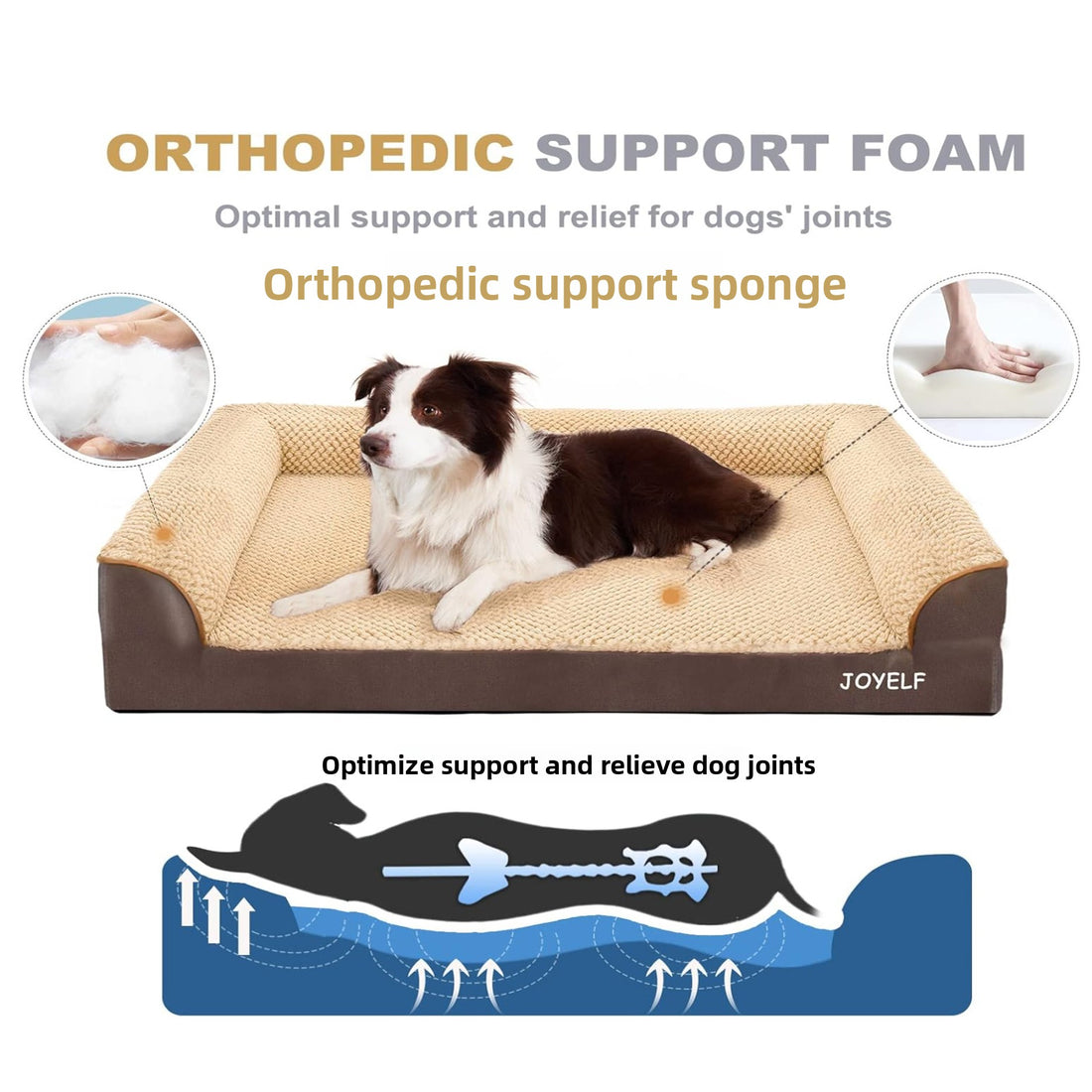 Orthopedic Dog Bed