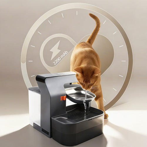 Automatic Pet Water Dispenser with Separation System